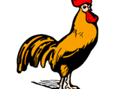 Disegno Gallo gagliardo  pitturato su gallo