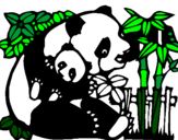 Disegno Mamma panda  pitturato su Wiktoria