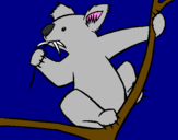 Disegno Koala  pitturato su samuele