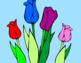Disegno Tulipani  pitturato su tulipani