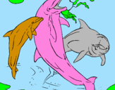 Disegno Delfini che giocano  pitturato su federico