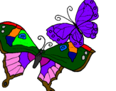 Disegno Farfalle pitturato su ADRIANO