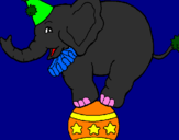 Disegno Elefante sulla palla  pitturato su samu00