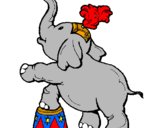 Disegno Elefante  pitturato su Chiara.