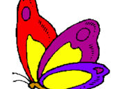 Disegno Farfalla  pitturato su antoniettina