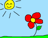 Disegno Sole e Fiore 2 pitturato su MARTINA