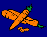 Disegno Carote II pitturato su carote