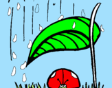 Disegno Coccinella protetta dalla pioggia  pitturato su ROSMERY