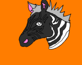 Disegno Zebra II pitturato su FILIPPO