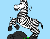 Disegno Zebra che salta sulle pietre  pitturato su luigi d.