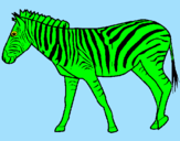 Disegno Zebra  pitturato su Andrea B.
