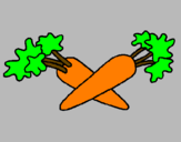 Disegno carote  pitturato su Rachele