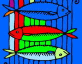 Disegno Pesce pitturato su EDOARDO