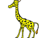 Disegno Giraffa  pitturato su Maria Giovanna Fascella