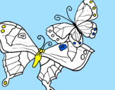 Disegno Farfalle pitturato su matilde occhilupo