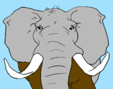 Disegno Elefante africano pitturato su gabriele