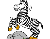 Disegno Zebra che salta sulle pietre  pitturato su A.Luca