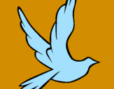 Disegno Colomba della pace in volo pitturato su Andrea B.