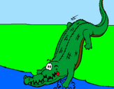 Disegno Alligatore che entra nell'acqua  pitturato su rocco
