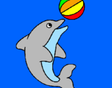 Disegno Delfino con una palla  pitturato su radish