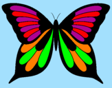 Disegno Farfalla pitturato su ilaria