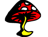 Disegno Fungo velenoso  pitturato su serenacoccolona