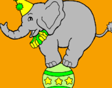 Disegno Elefante sulla palla  pitturato su vanessa