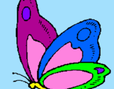 Disegno Farfalla  pitturato su Giulia