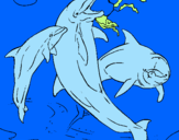 Disegno Delfini che giocano  pitturato su A R I A N N A