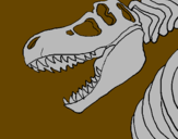 Disegno Scheletro di Tyrannosaurus rex pitturato su luca