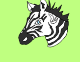 Disegno Zebra II pitturato su francesco