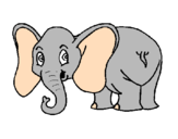 Disegno Piccolo elefantino  pitturato su zoe    cucolo