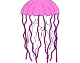 Disegno Medusa  pitturato su guulia rosa iacuzzo