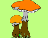 Disegno Funghi pitturato su luis cuellar