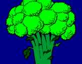 Disegno Broccoli  pitturato su MANDARINA