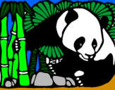 Disegno Orso panda con bambù  pitturato su samuele