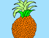 Disegno ananas  pitturato su thomas06