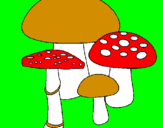 Disegno Funghi pitturato su funghi