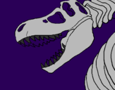 Disegno Scheletro di Tyrannosaurus rex pitturato su edo