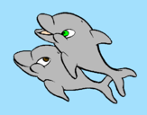 Disegno Delfini pitturato su giulia & vicky