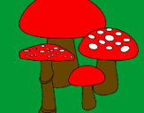 Disegno Funghi pitturato su Irene