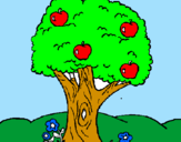 Disegno Melo pitturato su albero di mele