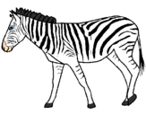 Disegno Zebra  pitturato su Giorgia