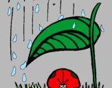 Disegno Coccinella protetta dalla pioggia  pitturato su chiara