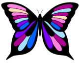 Disegno Farfalla 8 pitturato su emma