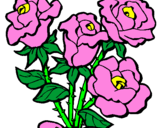 Disegno Mazzo di rose  pitturato su luca 