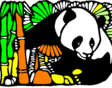 Disegno Orso panda con bambù  pitturato su FRANCESCO PIO