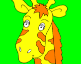 Disegno Muso di giraffa pitturato su FRANCESCO PIO
