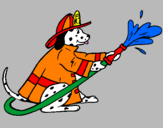Disegno Dalmata pompiere  pitturato su luca