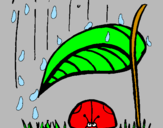 Disegno Coccinella protetta dalla pioggia  pitturato su germano